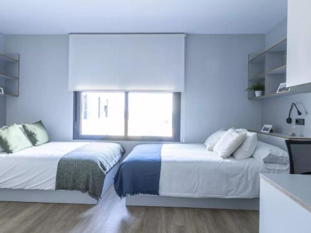 Double Studio Premium in Seville