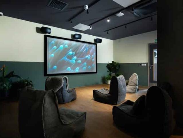 Large Standard Double Studio