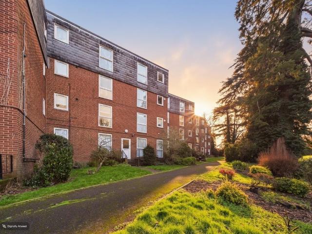 Double Room in Shared Apartment. 1 bed apartment to rent £650 pcm £150 pw