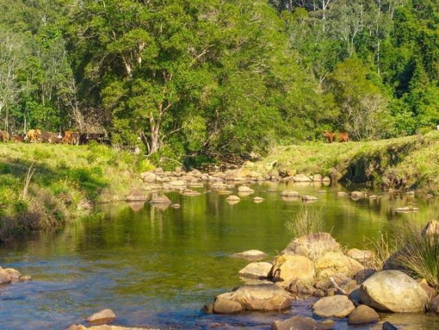 DOUBLE RIVER FRONTAGE