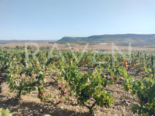 Quinta para venda Douro Superior