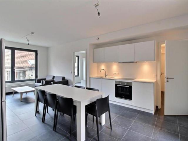 Downtown: 4 bedroom apartment intended for shared