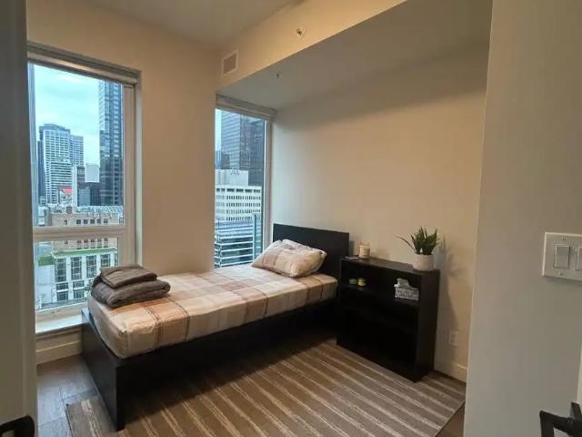 Downtown 1 Bedroom and Private Bathroom Sublease Luxury Apartment