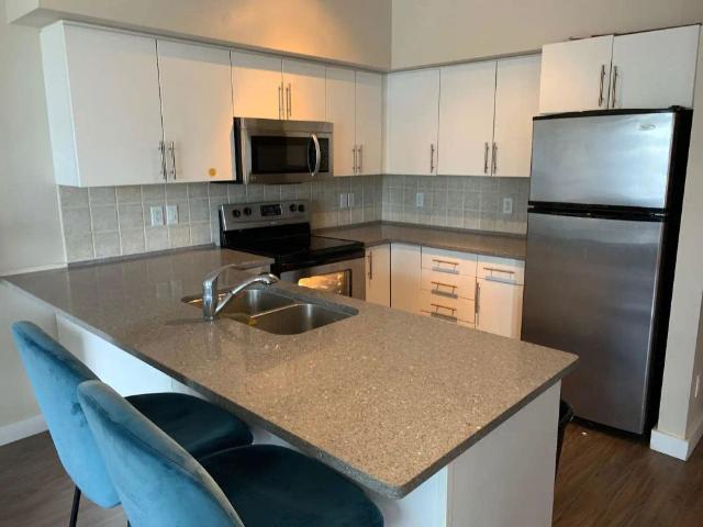 DOWNTOWN EDMONTON: Two bedroom/Two Bathroom Condo in Icon I — 2 Bedrooms Condo Unit