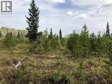 Dl 664 Tyee Lake Road, Williams Lake, BC, V2G 4Y9 vacant lan.