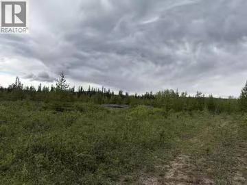 Dl 706 Walcott Road, Telkwa, BC, V0J 2X2 vacant land for sal.