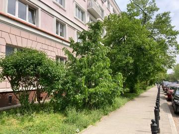 Dla singla lub pary Śródmieście Muranów