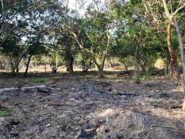 DMTV2305 TERRENO EN VENTA, PUEBLO VIEJO, VERACRUZ