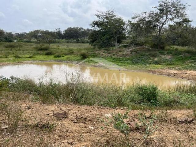 DMTV2411 TERRENO EN VENTA BRECHA HUASTECA, PUEBLO VIEJO, VERACRUZ