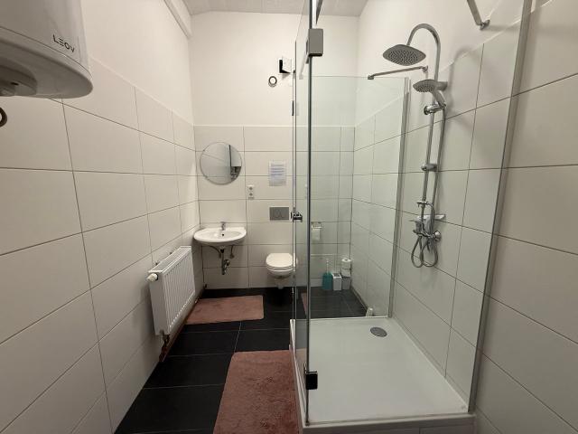 DSK apartment Spacious 276 m² First Floor Accommodation with Elevator – 6 Bedrooms, 5 Bathrooms, 3 Kitchens, Leipzig Amsterdam Apartments for Rent