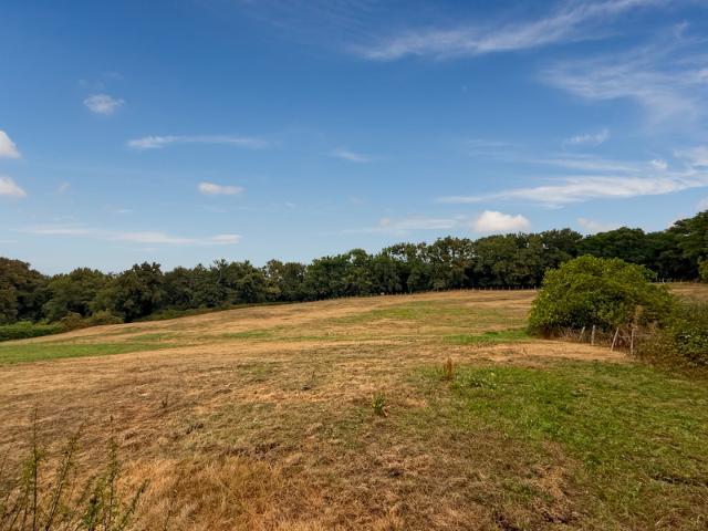 Dpt Gers 32, à vendre BERNEDE Grande maison ancienne de 500 m² habitables à rénover sur 2,5 hectares de terrain, au calme