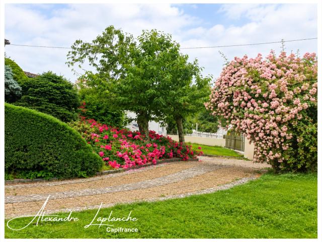 Dpt Tarn et Garonne 82, MONTAUBAN 82 – Quartier St Miche. 175m² Montauban