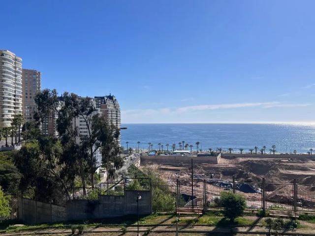 Dpto. a pasos de 15 norte, av. alessandri 230 viña del mar