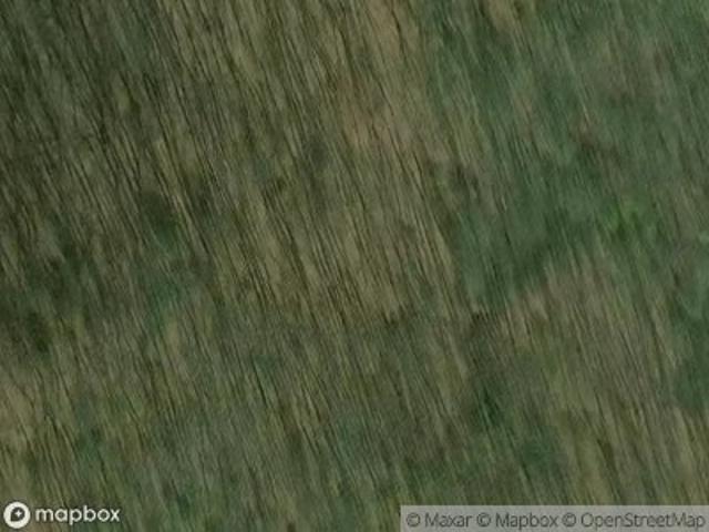 Dr
