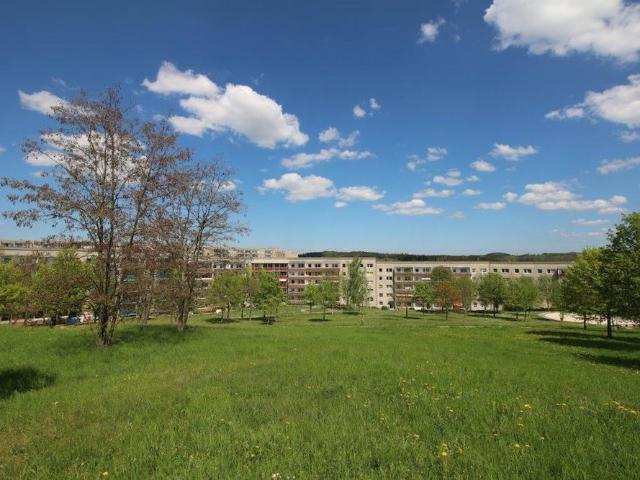 Dr. Friedrich Wolf Straße 18, 08529 Plauen