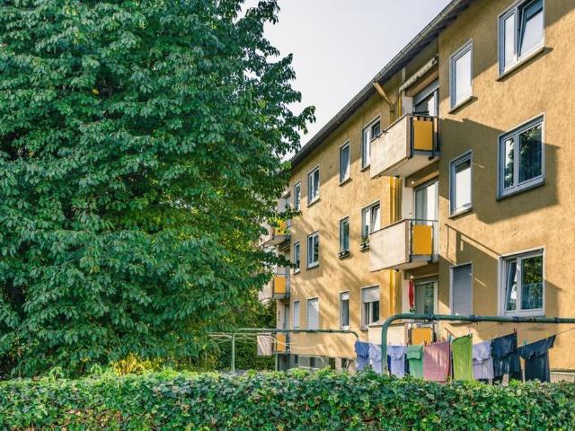 Dr. Hans Böckler Straße 18, 67269 Grünstadt