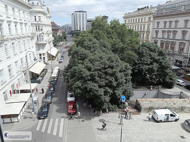 DR. KARL LUEGER PLATZ: 4 ZIMMER WOHNUNG NAHE RING, STADTPARK & BHF. WIEN MITTE
