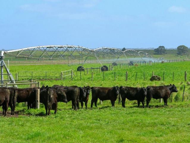 Droughtproof Fodder Factory Beef Dairy Inputs Intensive Crops