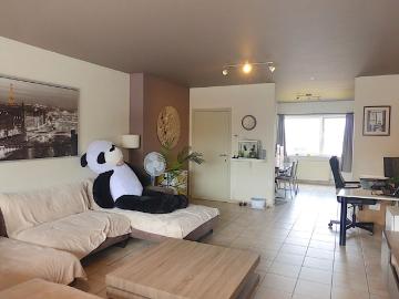 8930, Arrondissement de Courtrai, Flandre