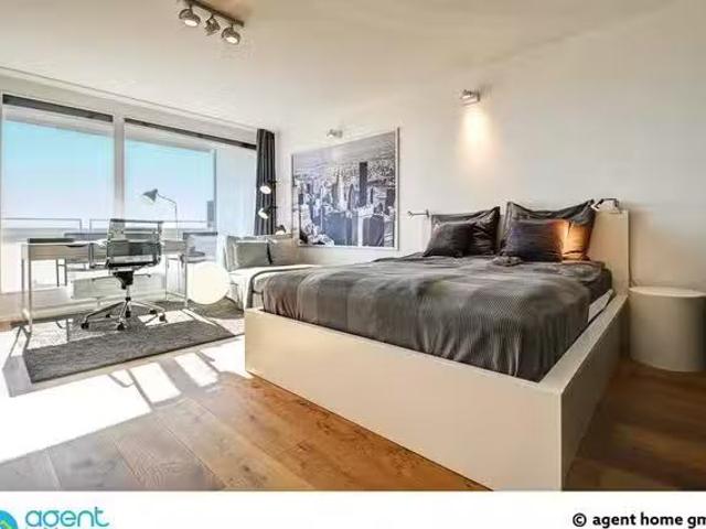 DREAM VIEW STUDIO