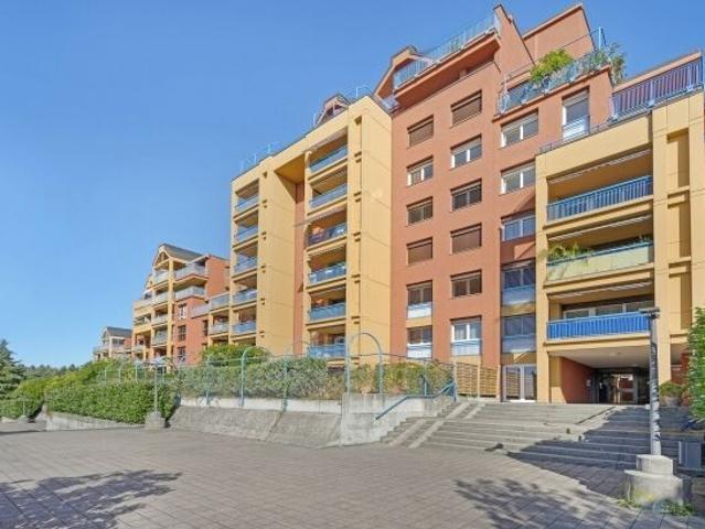 Dream apartment on the outskirts of the city and forest
