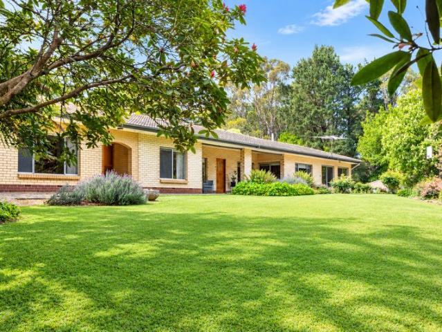 Dream bigger 28 acres of pure Hills escapism
