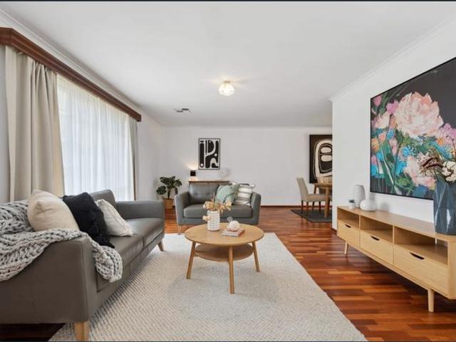 DREAM ENTERTAINER PERFECT FOR ALL THE FAMILY