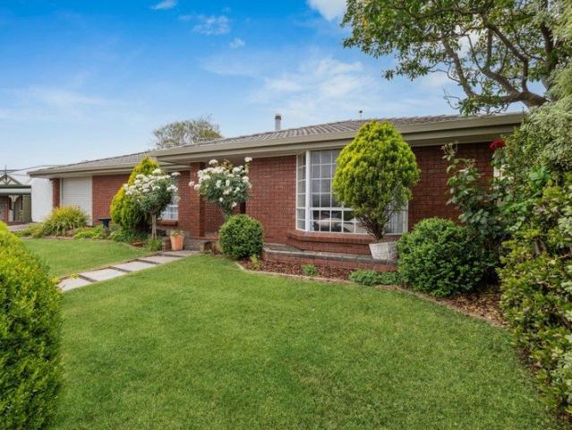 DREAM ENTERTAINER PERFECT FOR ALL THE FAMILY