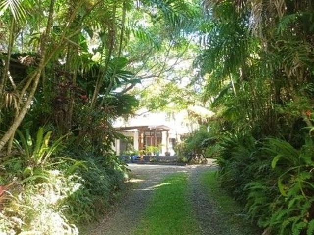 Dream property