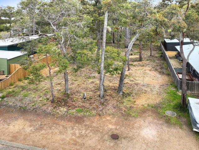 Dreaming Among the Trees | The Last Vacant Block on Honeysuckle Glen