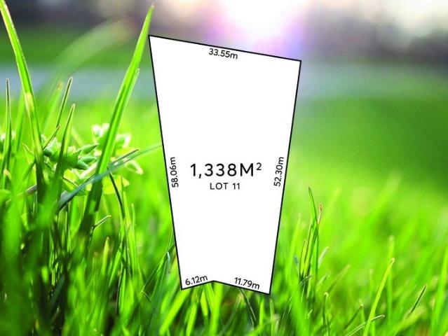 Dreams do come true. Substantial Land Holding Offering Incredible Views