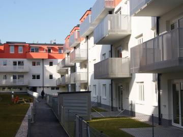 Wohnung mieten in Schöffelstadt - Garten
