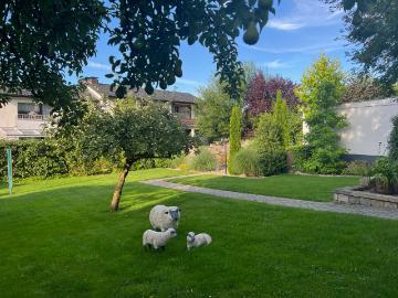 Dreifamilienhaus in Bielefeld Hillegossen mit großem Grundstück