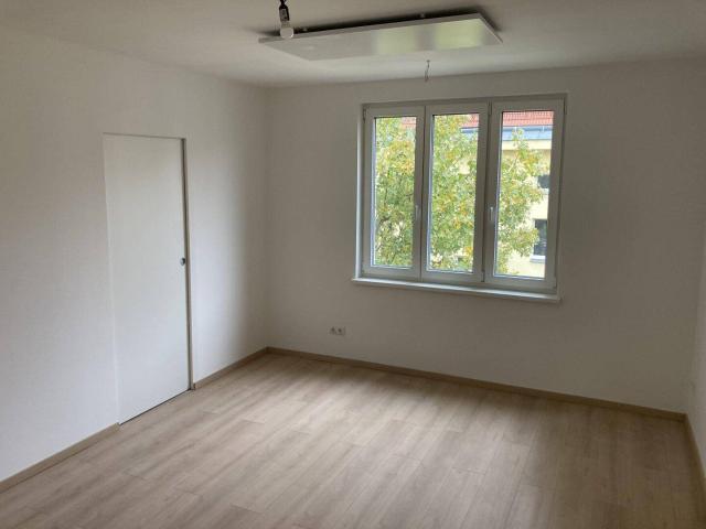 Dreihausgasse: generalsanierte 2 Zimmer Wohnung in Ruhelage