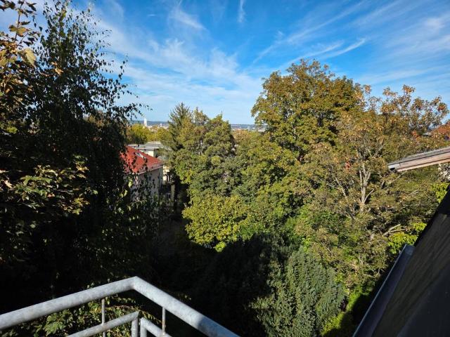 Dresden Plauen: 3 Zimmer Wohnung mit Balkon in Höhenlage