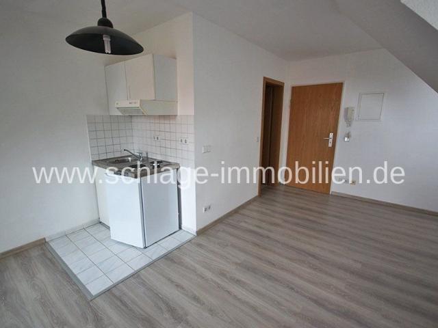 DRESDEN PLAUEN* Helles Dachstudio am Campus mit Pantryküche!