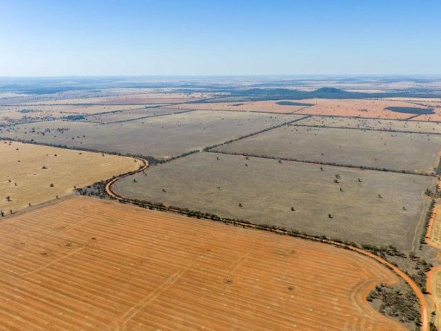 DRYLAND CROPPING OR GRAZING OPPORTUNITY
