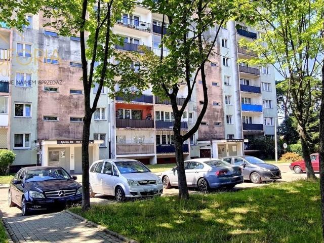 Dwa pokoje, Rozkładowe Radogoszcz Zielona okolica Łódź