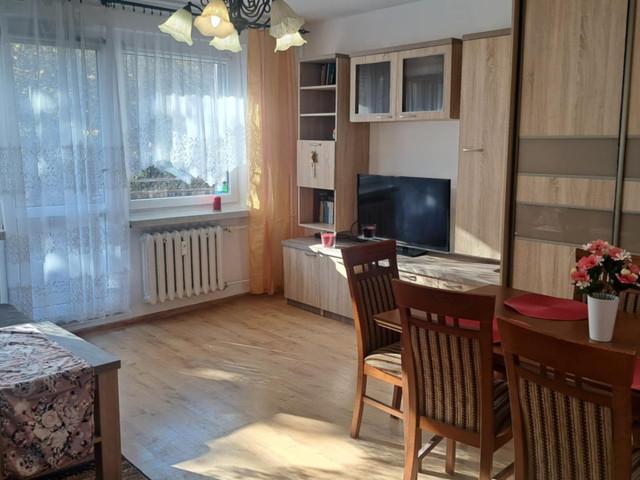 Dwupokojowe mieszkanie do wynajęcia