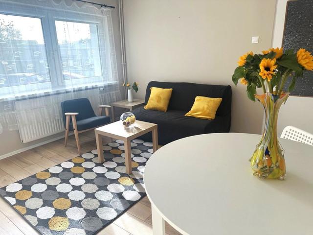 Mieszkanie do wynajęcia, Poznań Grunwald Grunwald Północ Modra, 2400 PLN, 37 m2, domy 30150260