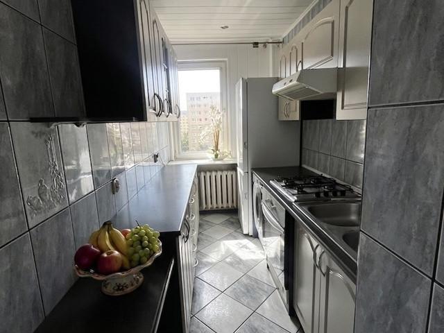 Mieszkanie do wynajęcia, Bytom Miechowice Alojzego Felińskiego, 1800 PLN, 48 m2, domy 142364