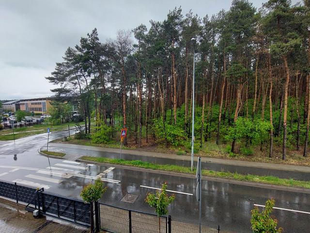 Dwupokojowe mieszkanie do wynajęcia