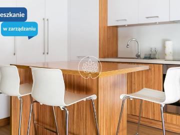 Dwupokojowe mieszkanie do wynajęcia