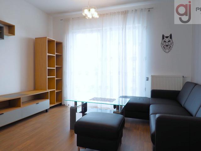 Mieszkanie do wynajęcia, Łódź Widzew Zarzew Przybyszewskiego, 2400 PLN, 45 m2, domy 61861