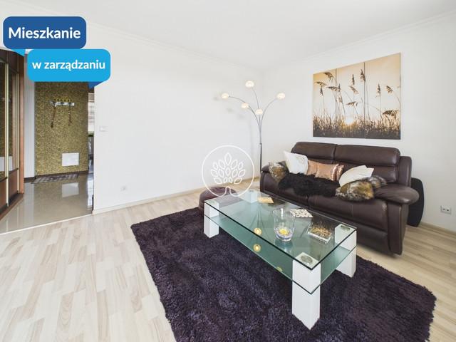 Dwupokojowe mieszkanie do wynajęcia