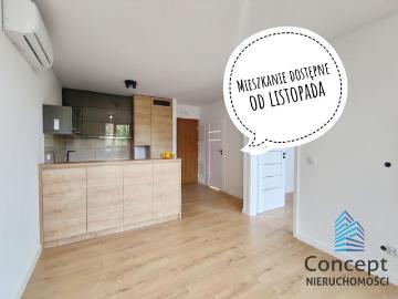 Dwupokojowe mieszkanie do wynajęcia