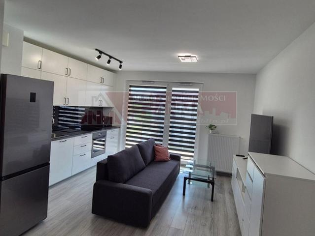 Mieszkanie do wynajęcia, Lublin M. Lublin Węglin, Węglinek Jemiołuszki, 2300 PLN, 38,6 m2, domy ANM MW 32992