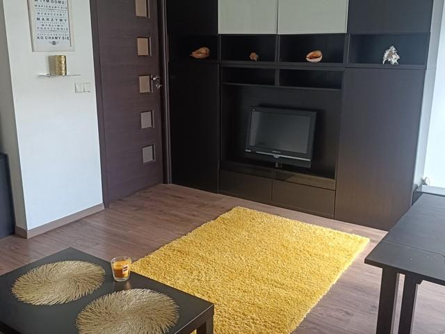 Dwupokojowe mieszkanie do wynajęcia