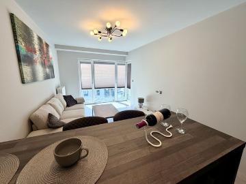 Mieszkanie do wynajęcia, Bielsko Biała Zwierzyniecka, 2400 PLN, 46,12 m2, domy 137262