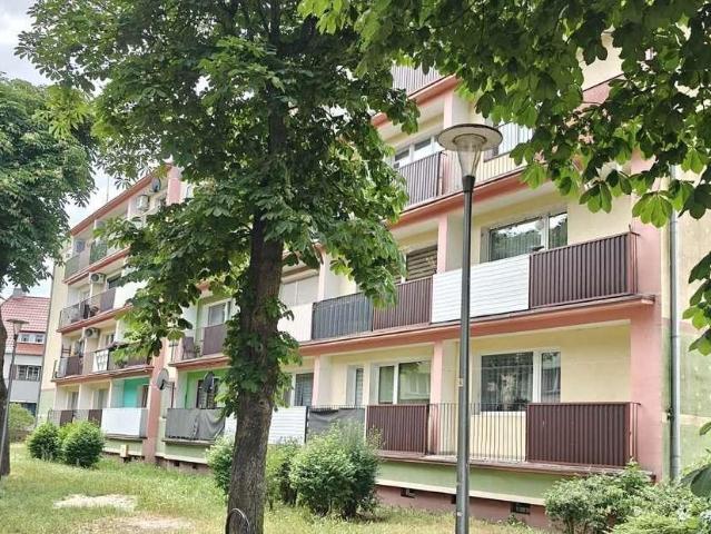 Dwupokojowe mieszkanie z balkonem i piwnicą centrum Nowej Sól